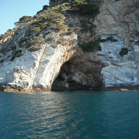Lili Villa Céret Екстериор снимка