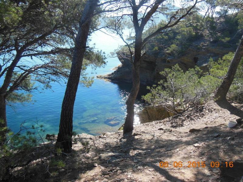 Lili Villa Céret Екстериор снимка