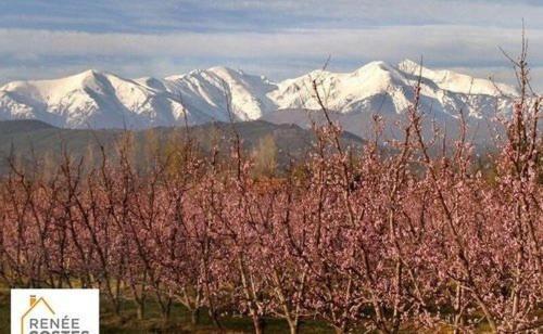 Lili Villa Céret Екстериор снимка