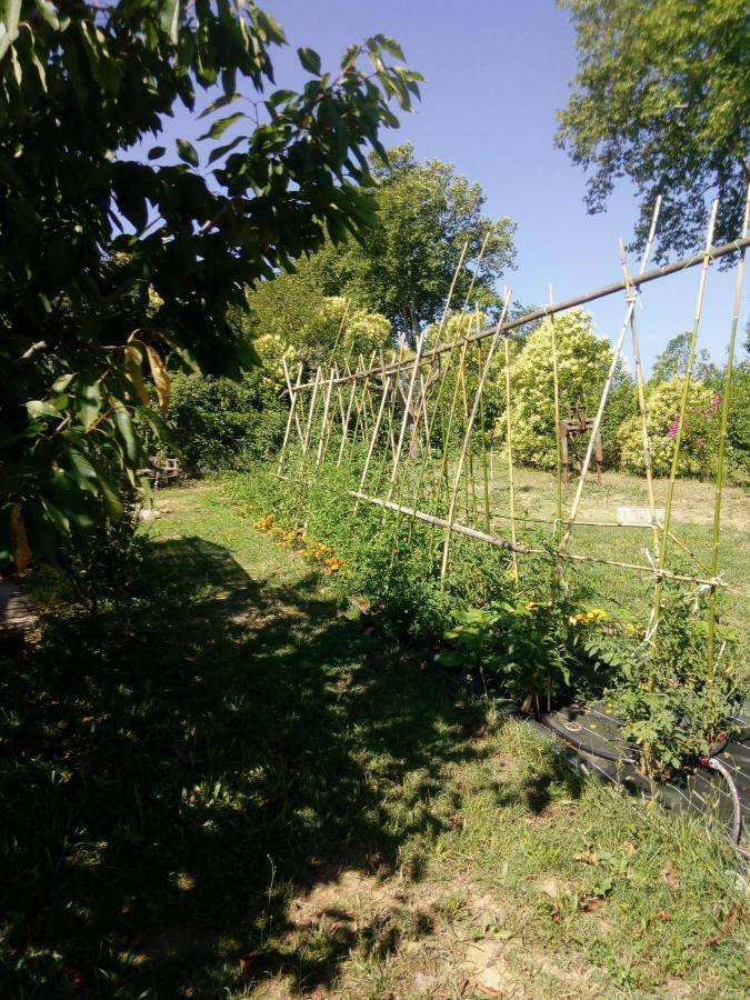 Lili Villa Céret Екстериор снимка