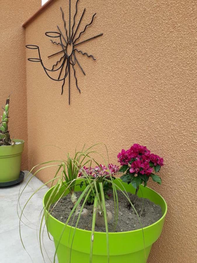 Lili Villa Céret Екстериор снимка